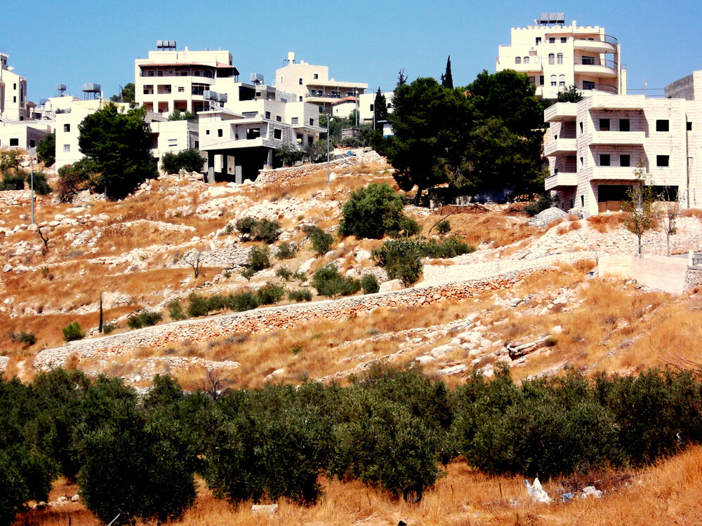 DSCF0178.jpg