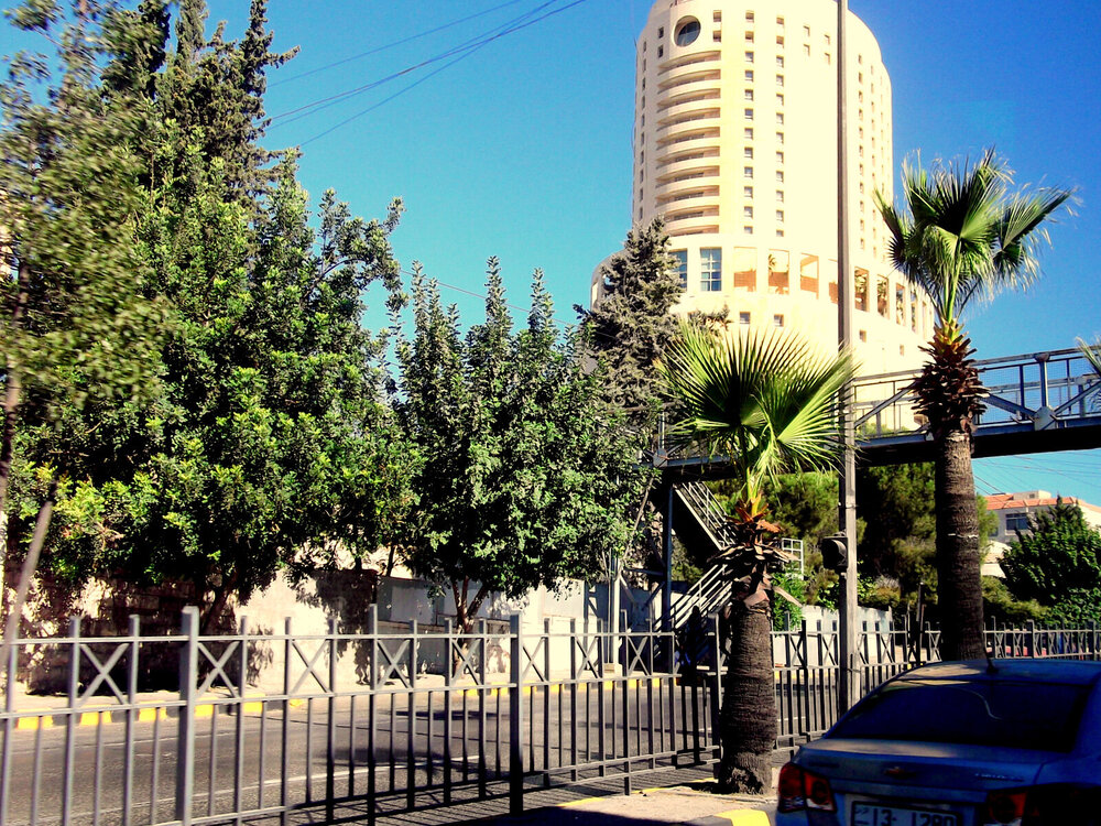 DSCF0522.JPG