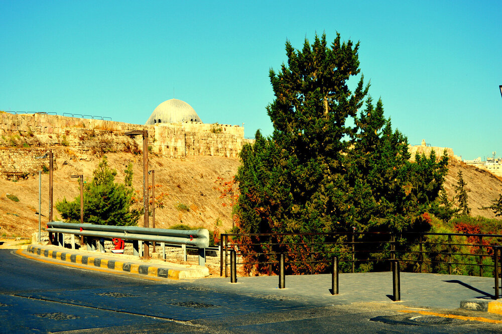 DSC_1013.JPG