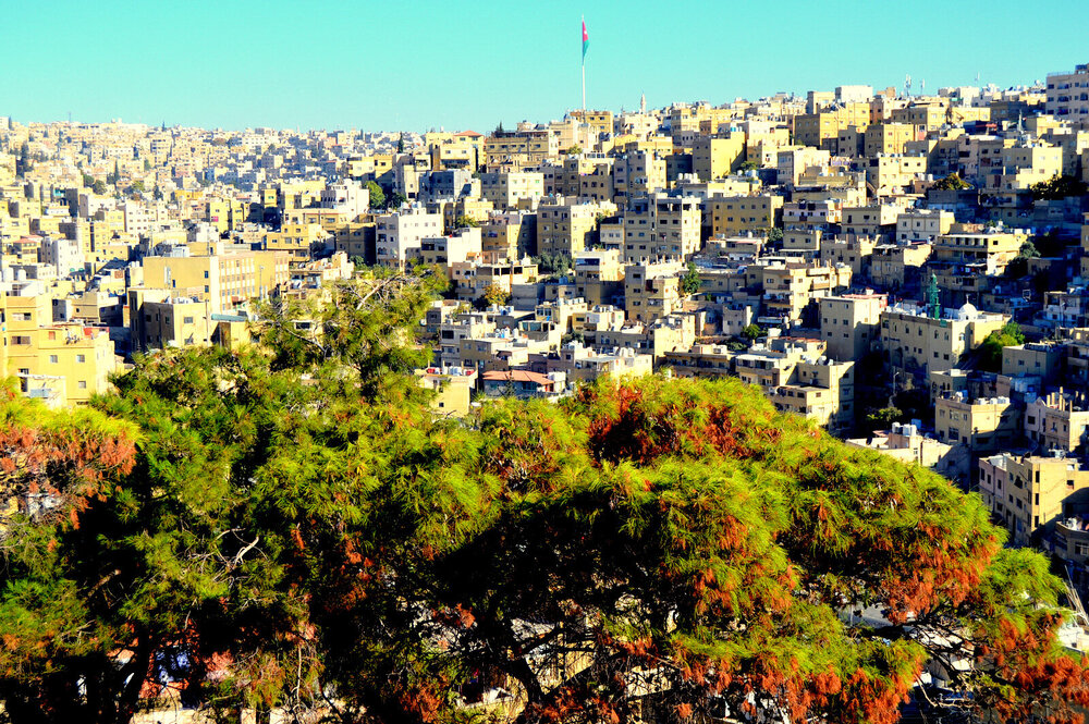 DSC_1015.JPG