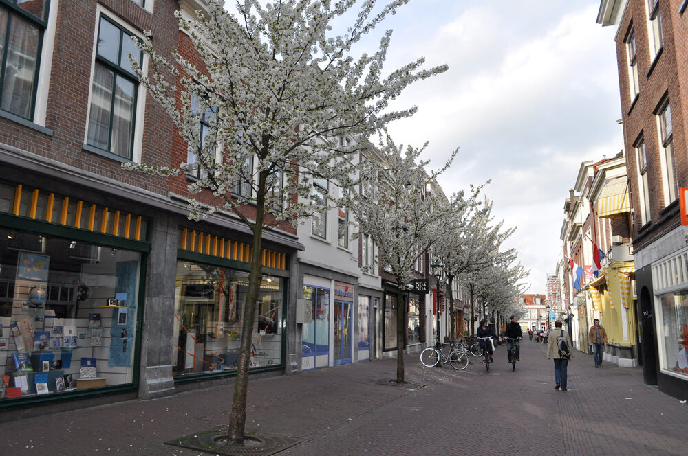 вояж 2013  (2775).jpg