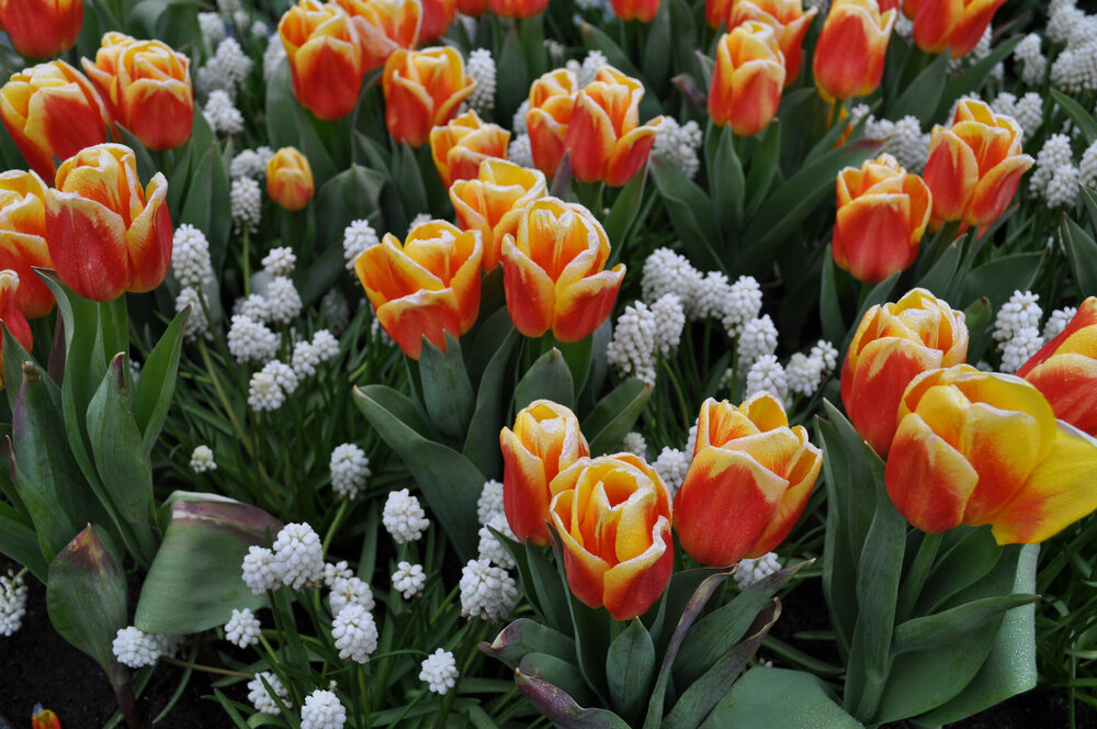 вояж 2013  (1795).jpg