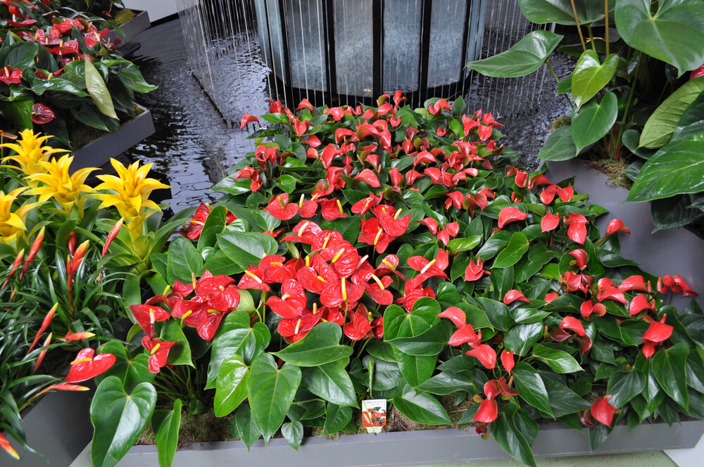 вояж 2013  (2238).jpg