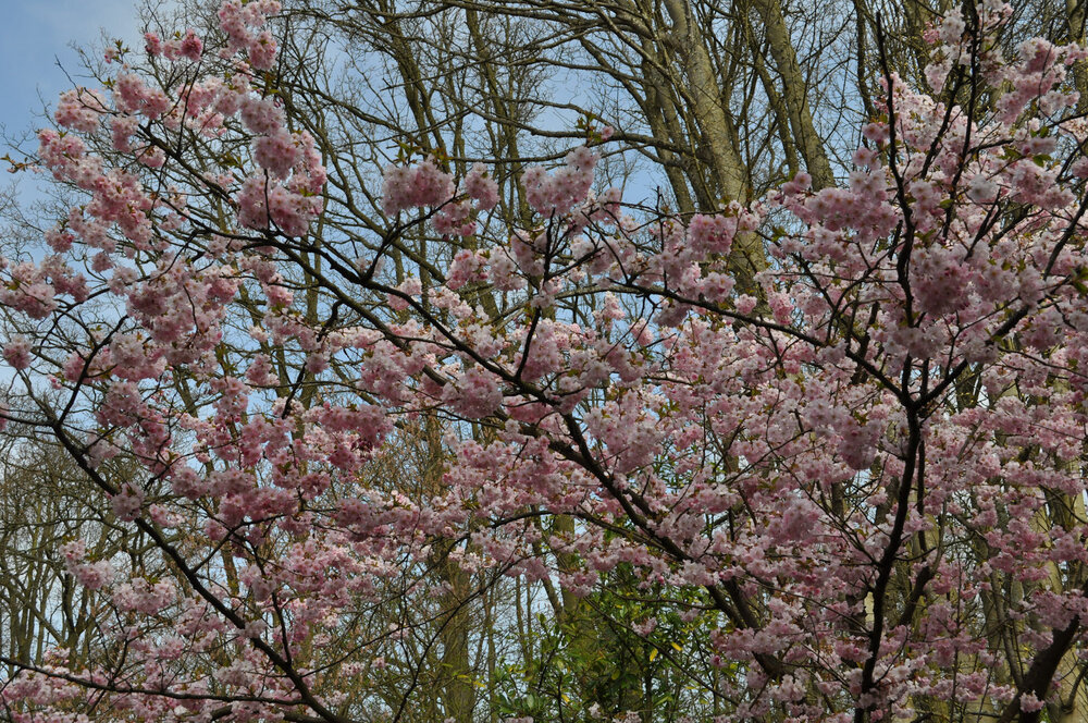 вояж 2013  (2463).jpg