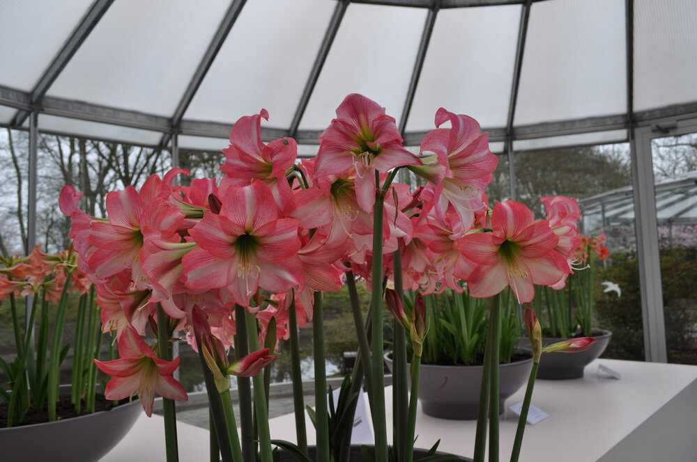 вояж 2013  (1898).jpg