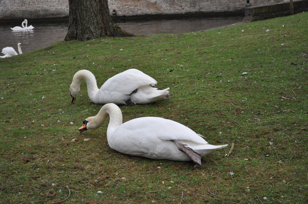 вояж 2013  (3179).jpg