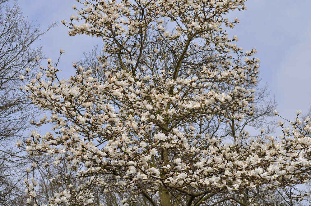 вояж 2013  (2375).jpg