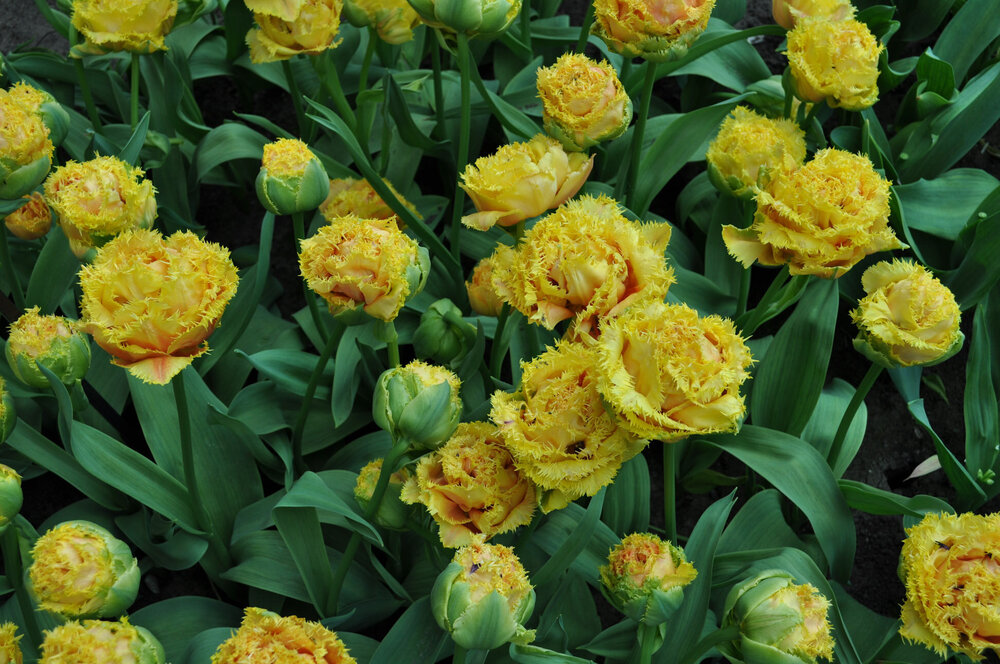 вояж 2013  (2028).jpg