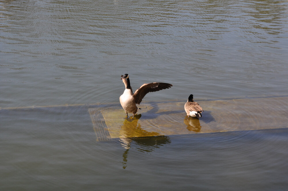 вояж 2013  (2649).jpg