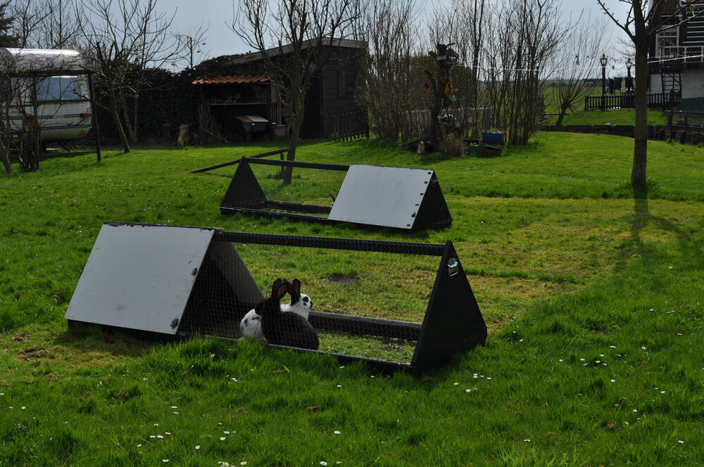 вояж 2013  (1515).jpg