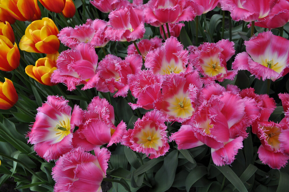 вояж 2013  (1959).jpg