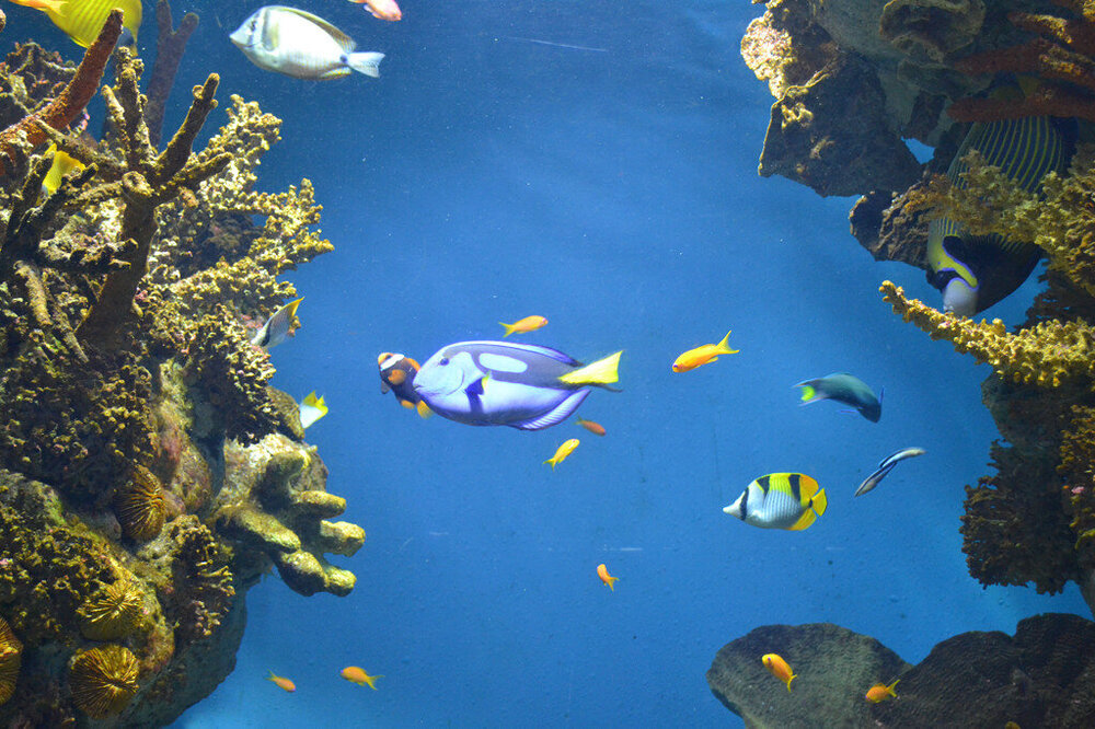 i - 2020-04-18T215413.068.jpg