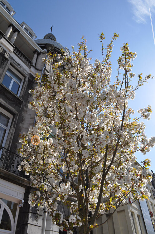 вояж 2013  (2914).jpg