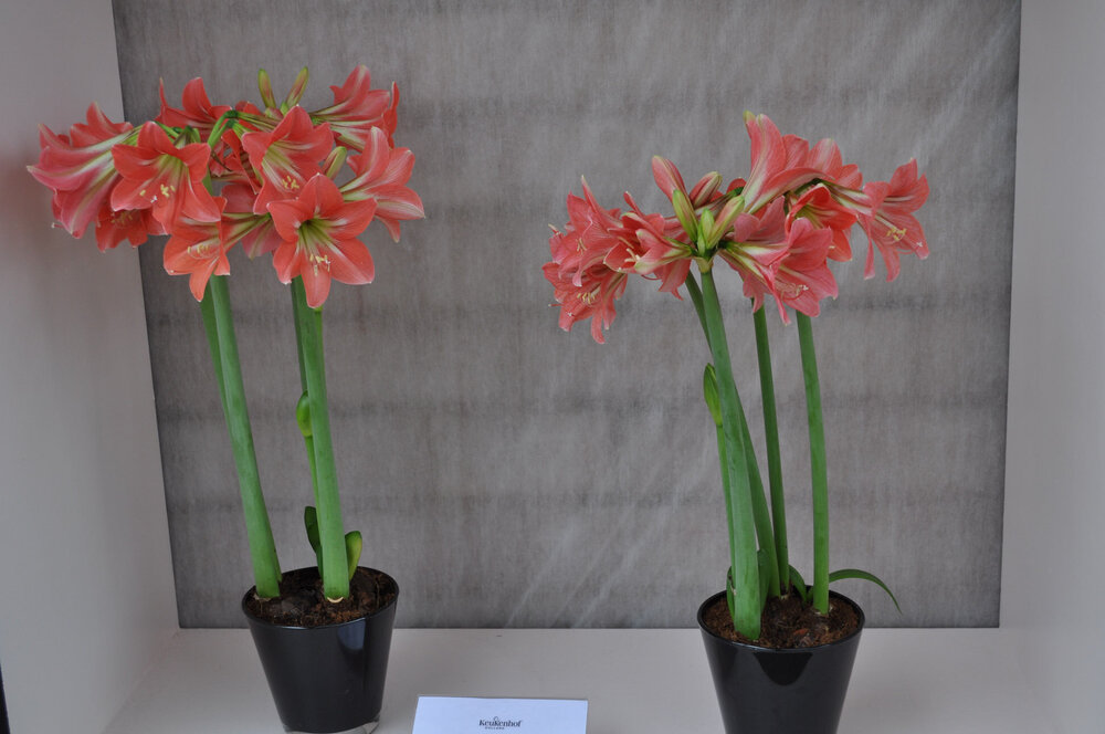 вояж 2013  (1926).jpg