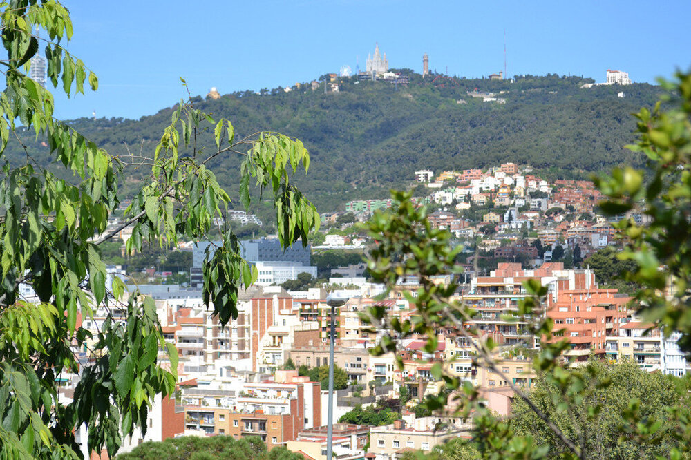 i - 2020-04-18T214905.550.jpg