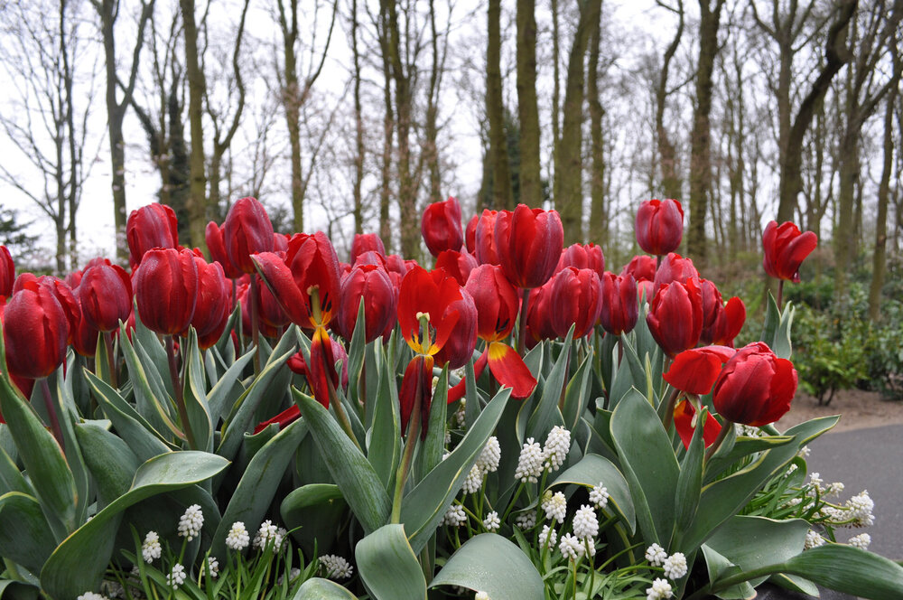 вояж 2013  (1764).jpg