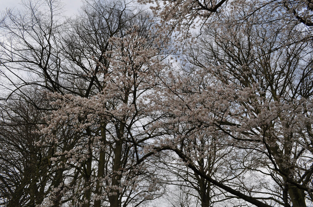 вояж 2013  (2169).jpg