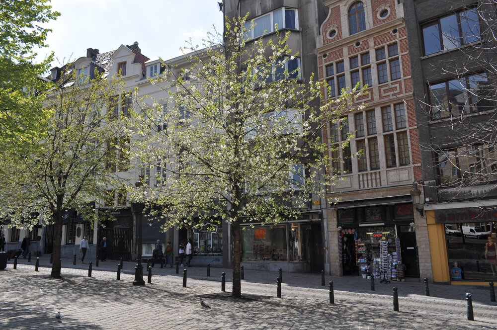 вояж 2013  (3464).jpg