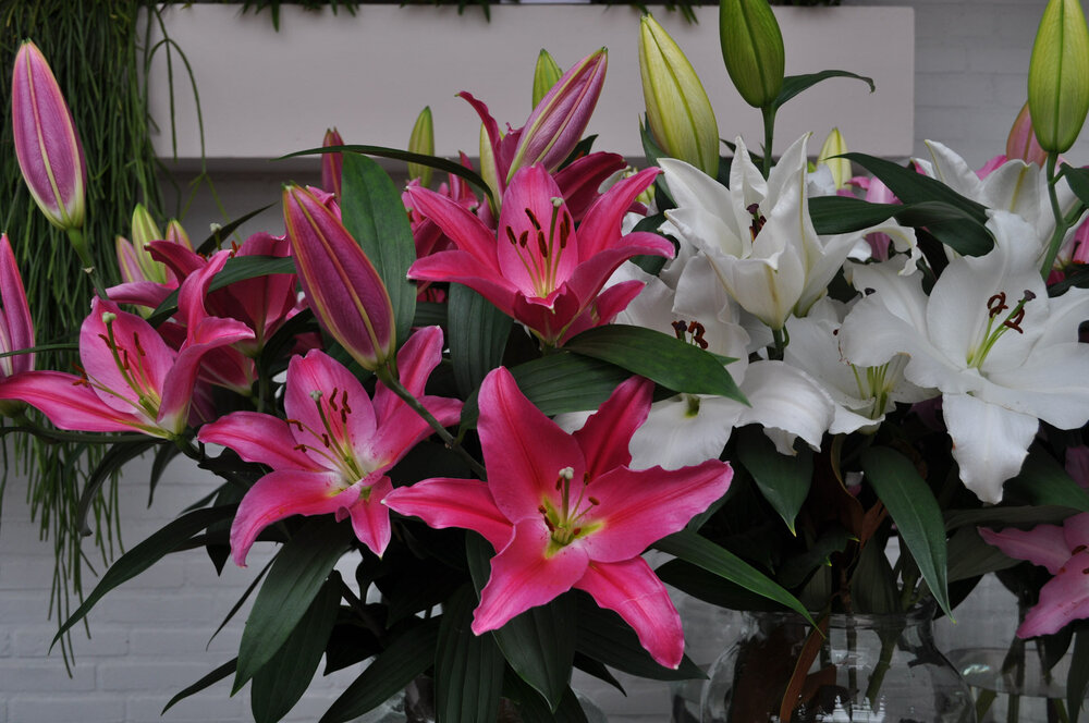 вояж 2013  (1881).jpg