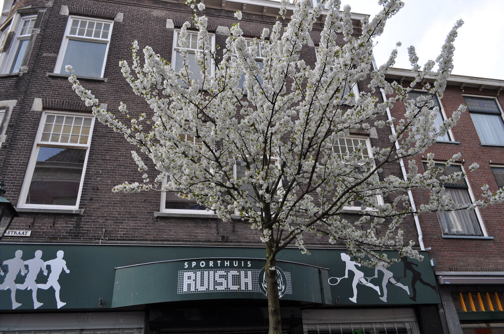 вояж 2013  (2774).jpg