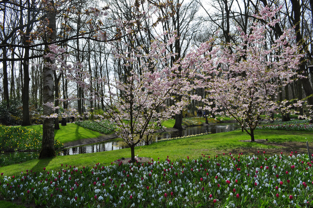 вояж 2013  (2503).jpg