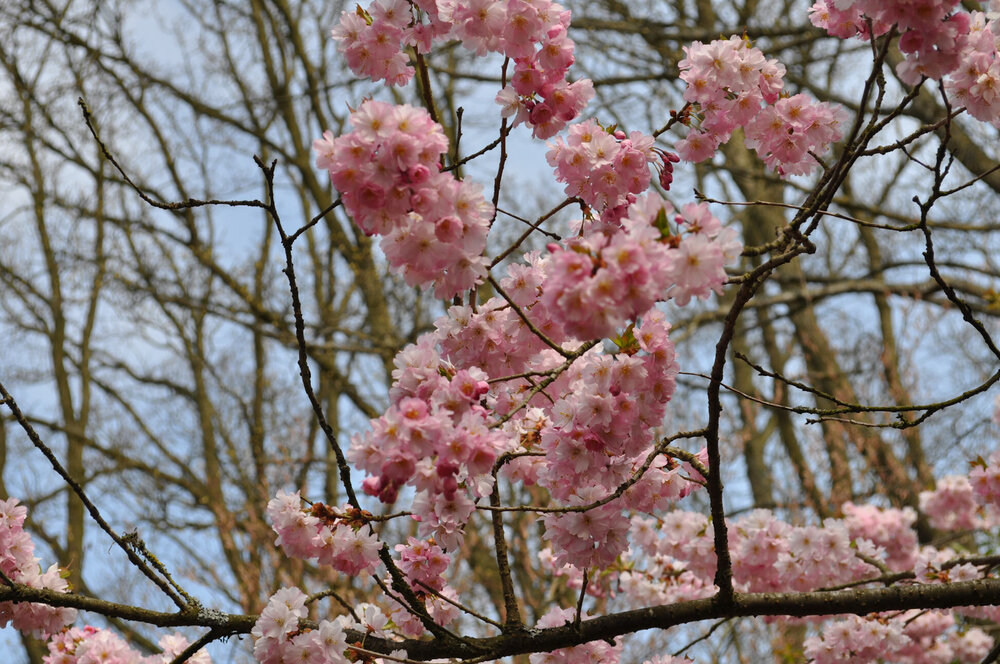 вояж 2013  (2464).jpg