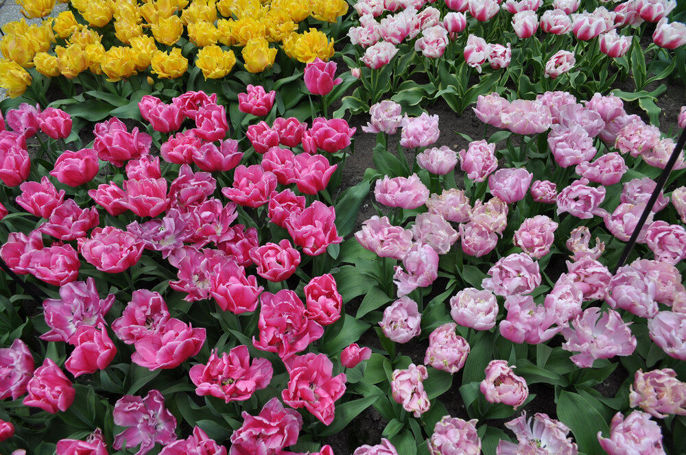 вояж 2013  (1885).jpg