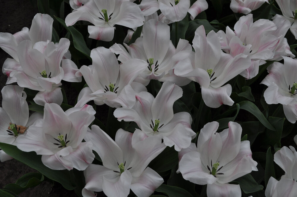 вояж 2013  (1900).jpg