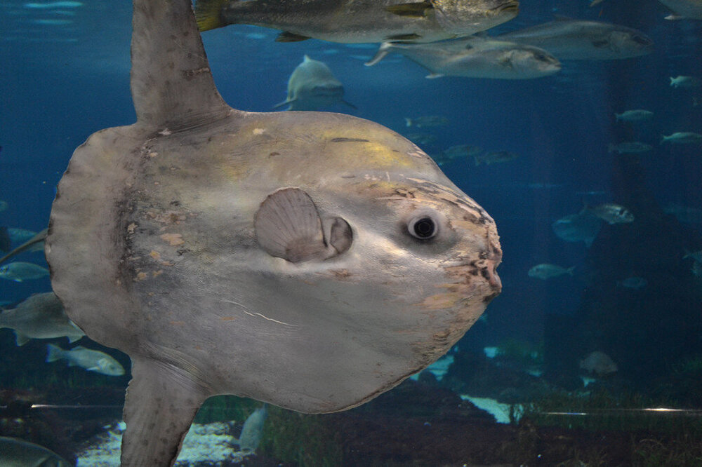 i - 2020-04-18T215408.411.jpg