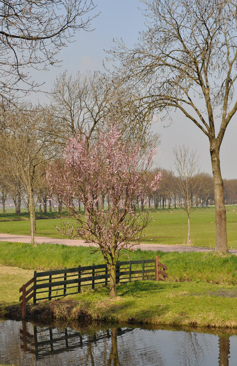 вояж 2013  (1274).1.jpg