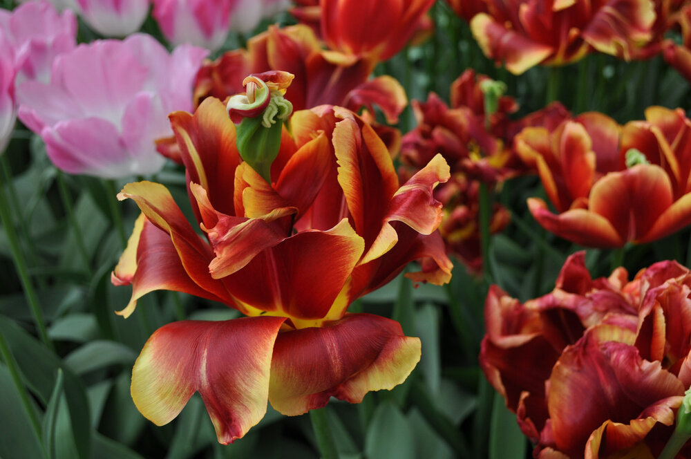 вояж 2013  (1913).jpg