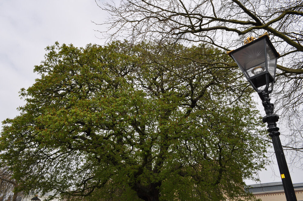 вояж 2013  (2573).jpg