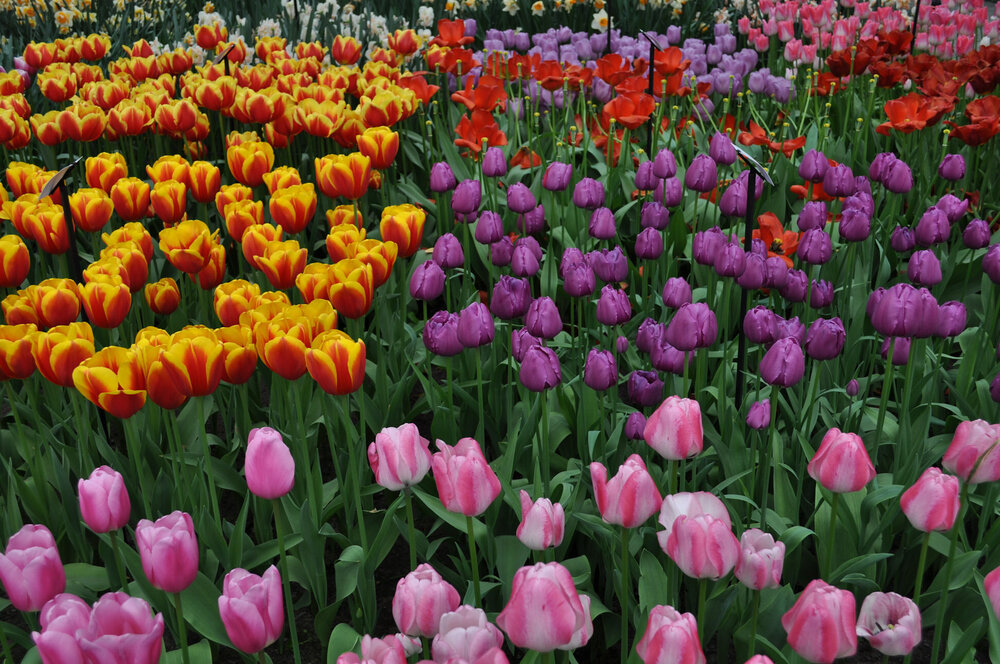 вояж 2013  (2039).jpg