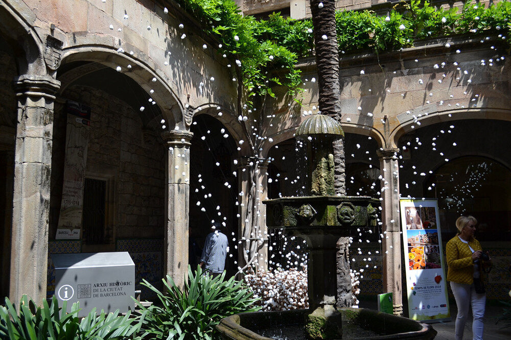 i - 2020-04-18T215753.218.jpg