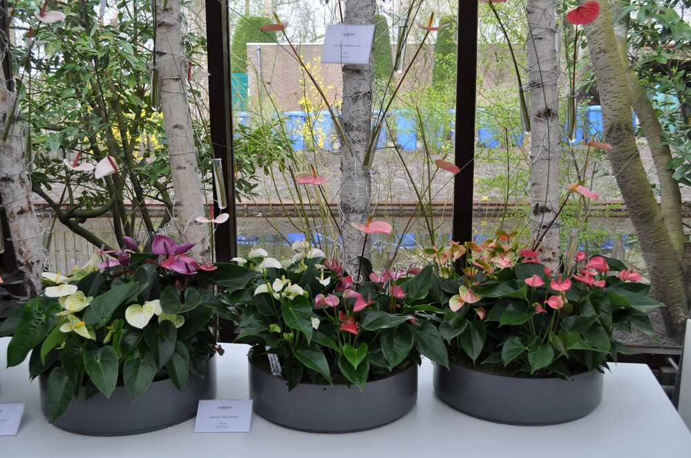 вояж 2013  (2268).jpg