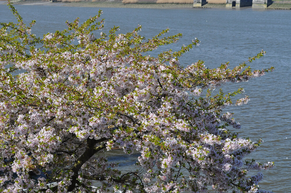 вояж 2013  (2926).jpg