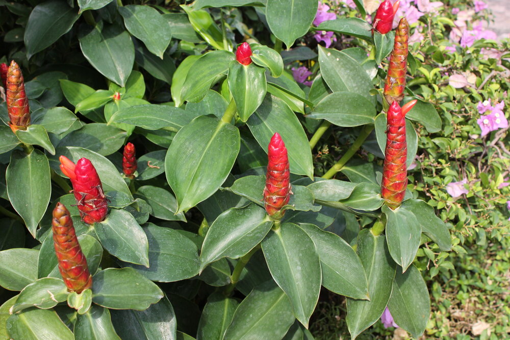 Изображение 304.jpg