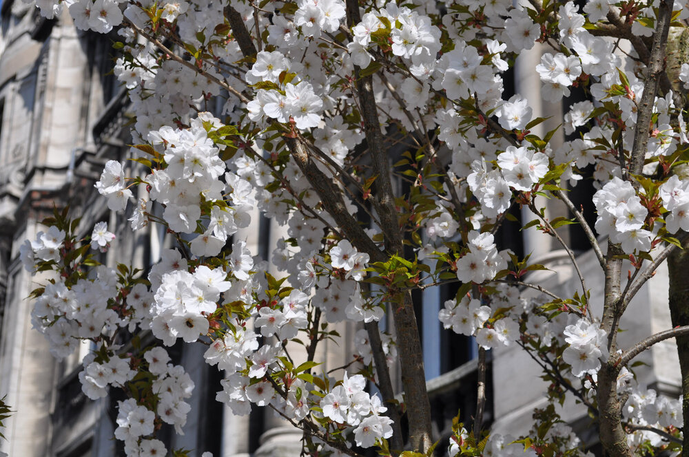 вояж 2013  (2913).jpg