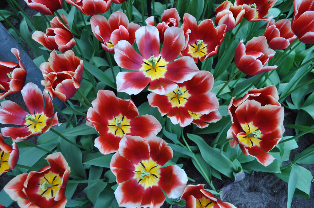 вояж 2013  (2000).jpg