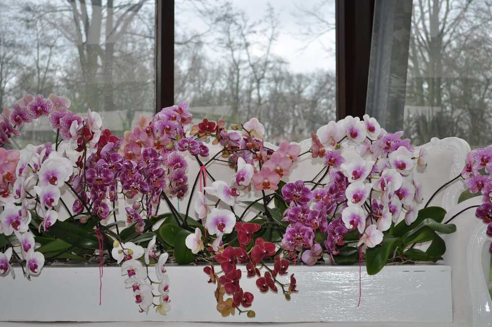 вояж 2013  (2327).jpg