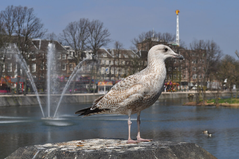 вояж 2013  (2640).jpg