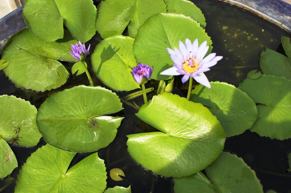 Изображение 261.jpg