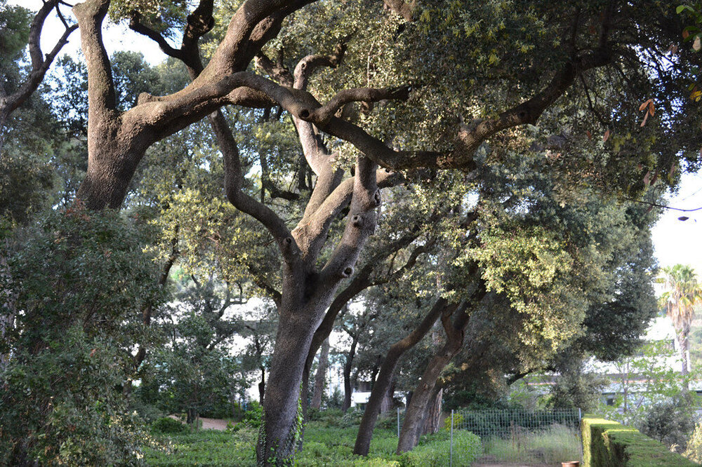 i - 2020-04-18T215153.045.jpg