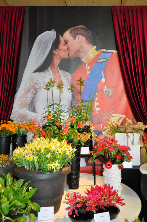 вояж 2013  (2122).jpg