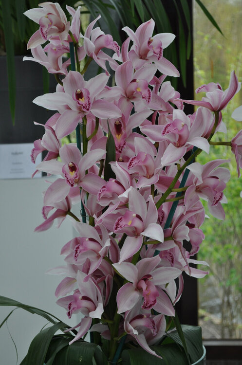 вояж 2013  (2295).jpg