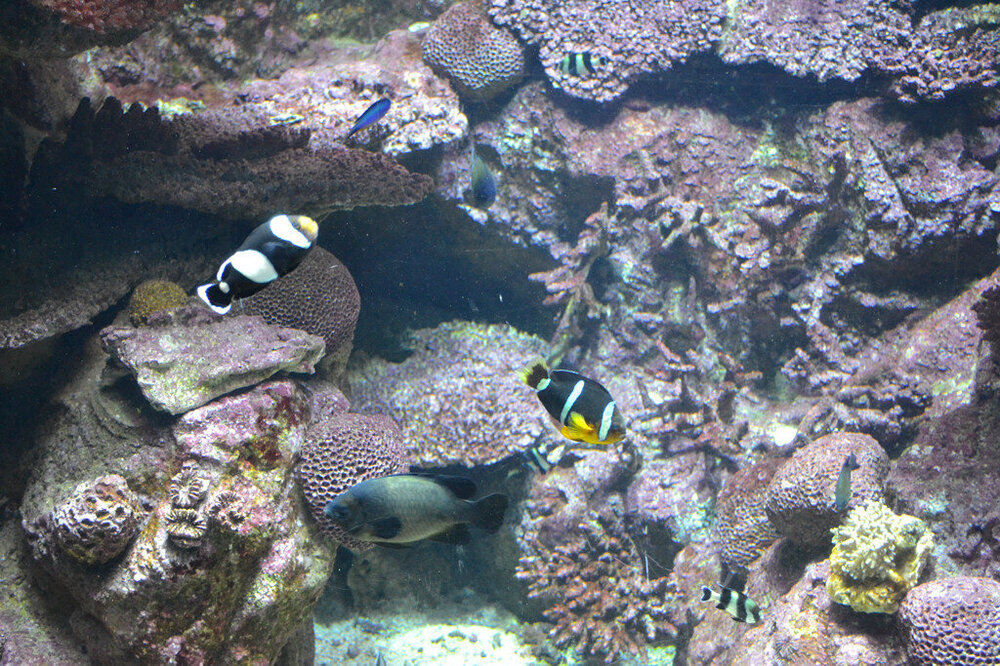 i - 2020-04-18T215421.963.jpg