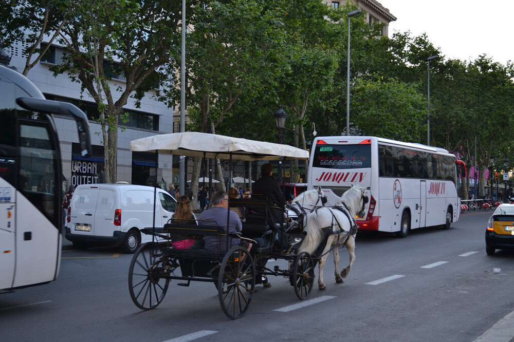 i - 2020-04-18T215352.884.jpg