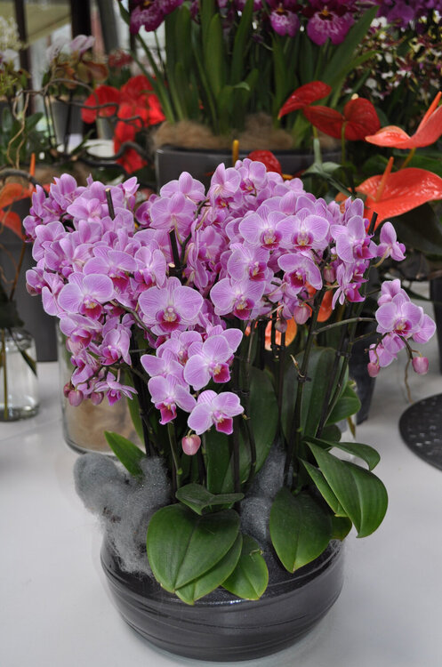 вояж 2013  (2230).jpg