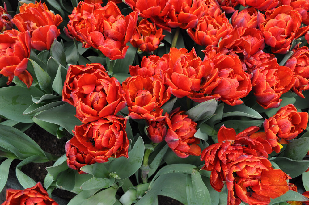 вояж 2013  (1858).jpg