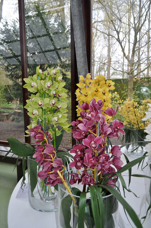 вояж 2013  (2312).jpg